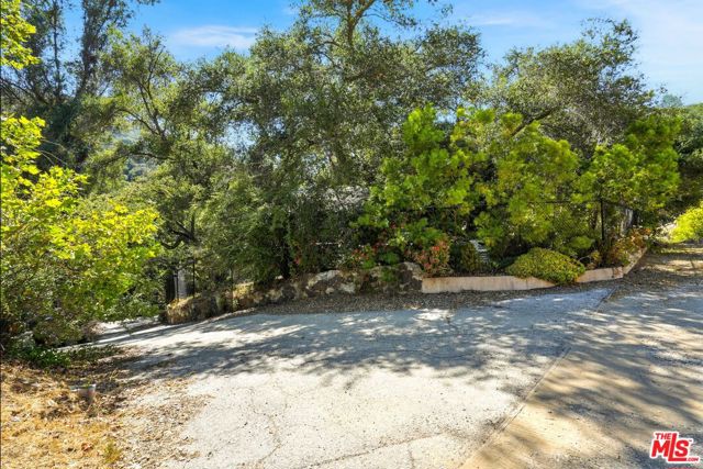 774 Old Topanga Canyon Road photo 57