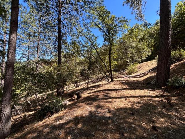 1720 Jacobs Way, Placerville CA: https://media.crmls.org/mediaz/b8022d35-ca9f-4fd4-b674-2f2cf4247c97.jpg