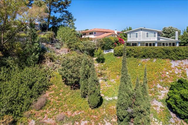 66-Aerial 5046 Golden Arrow Dr
