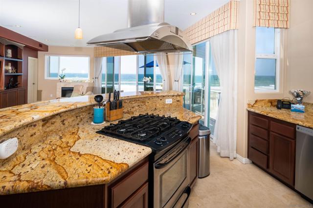 Watch the dolphin play in the surf and watch a show while you cook!