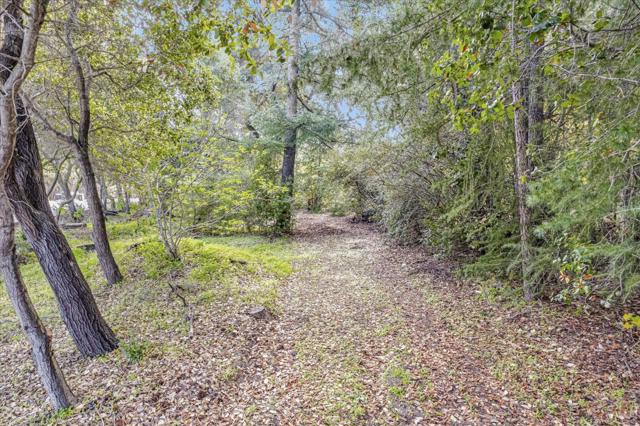 15041 Park Drive, Saratoga CA: https://media.crmls.org/mediaz/b8254ebe-9f18-4dd3-8ea9-2de0c327af87.jpg