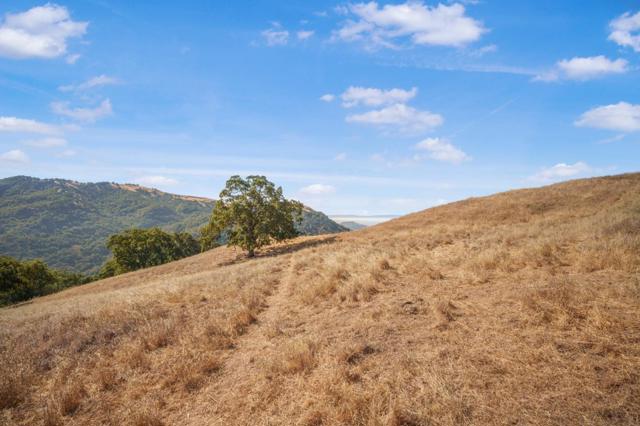 0 E Dunne Avenue, Morgan Hill CA: https://media.crmls.org/mediaz/b83c29f8-aece-4922-becb-1a99dd0fa845.jpg