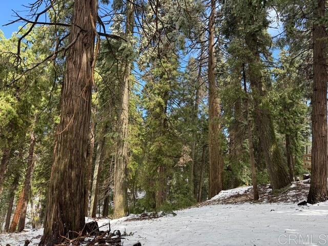 Home for Sale in Palomar Mountain
