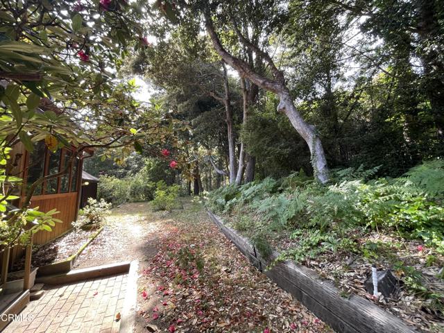32691 Pearl Drive, Fort Bragg CA: https://media.crmls.org/mediaz/b85652ee-1ba9-400d-9b2c-ae176bc2335d.jpg