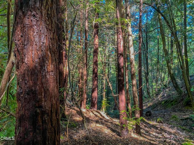 0 Irmulco Road, Willits CA: https://media.crmls.org/mediaz/b85f751a-d1d1-4bb3-871b-028eab99b43a.jpg