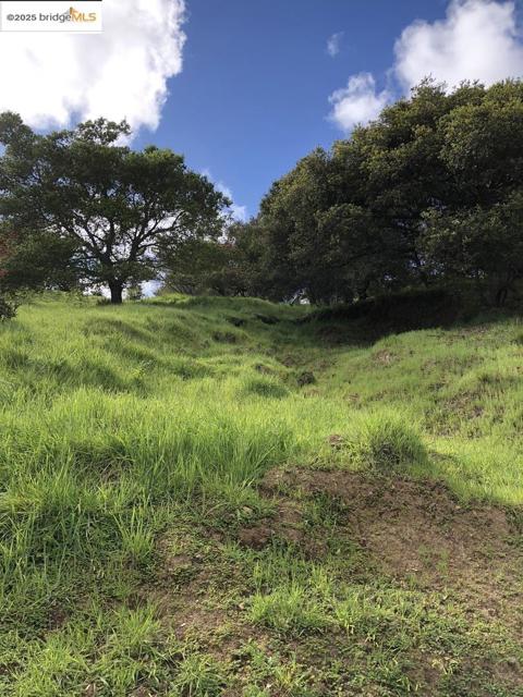 0 Coleman Drive, San Rafael CA: https://media.crmls.org/mediaz/b8623827-faa3-4f87-9285-56db9025b32f.jpg