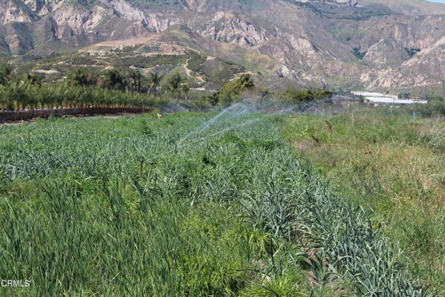 0 Torrey, Piru, CA, 93040 0 Torrey, Piru, CA, 93040