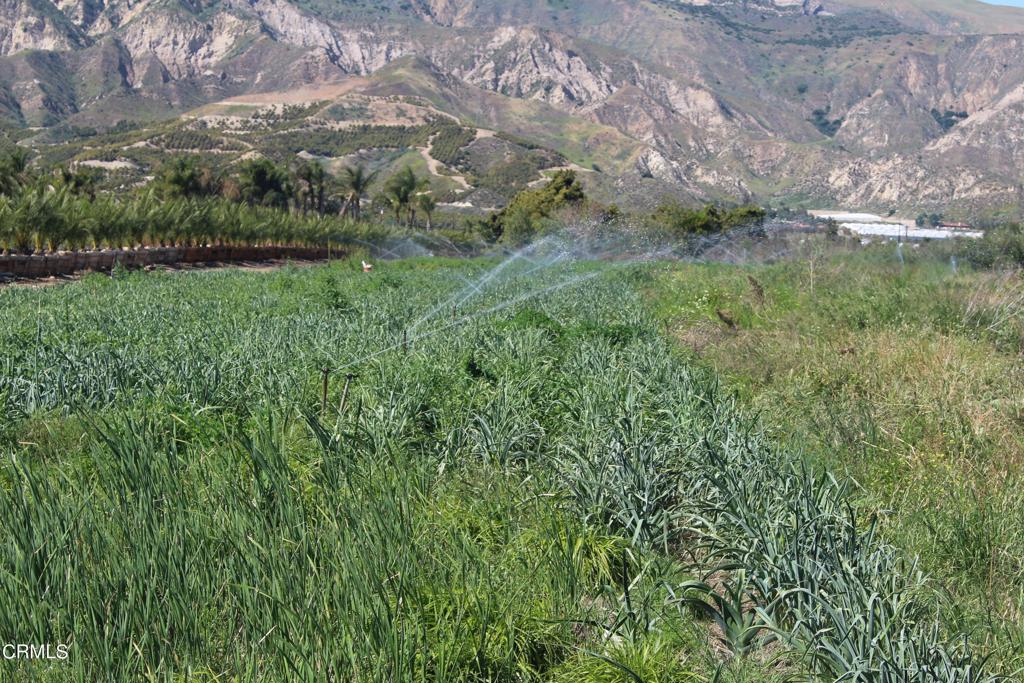 0 Torrey Road, Piru, CA 93040