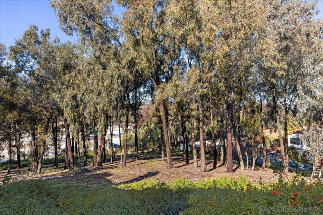 16156 Avenida Venusto, San Diego CA: https://media.crmls.org/mediaz/b86ac6d2-fcb9-4fa7-8029-e49523faf305.jpg