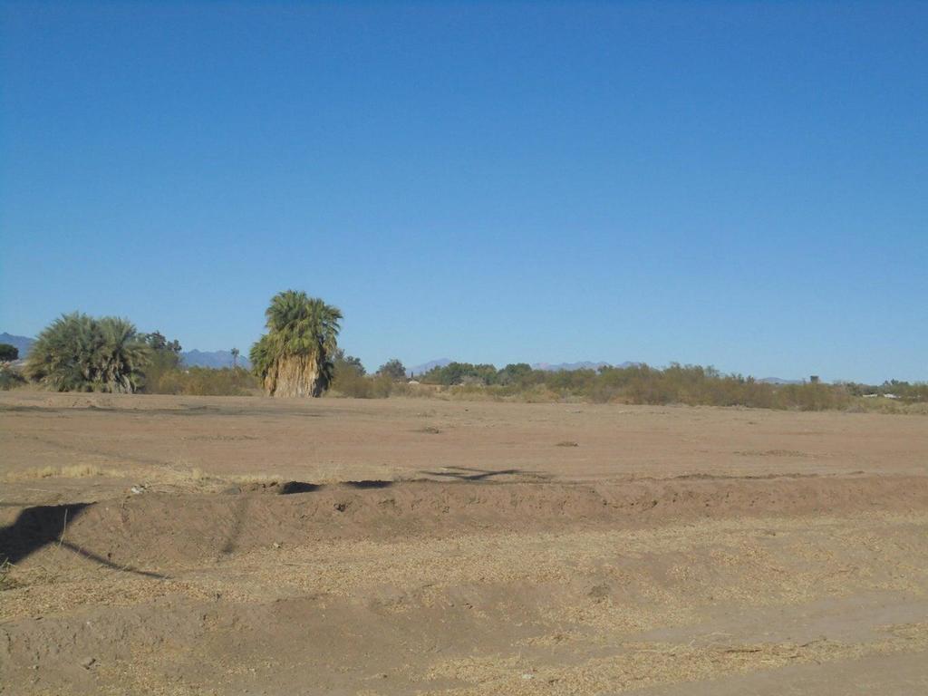 MLS #219134316DA image #9