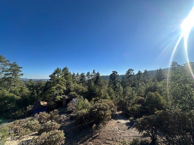 0 Howland Road, Idyllwild CA: https://media.crmls.org/mediaz/b88ee35a-d3ad-4b93-9251-cffe4c76637c.jpg