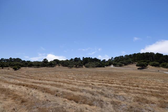 24545 Via Malpaso (Lot 94), Monterey CA: https://media.crmls.org/mediaz/b88f81ed-542f-4d11-9652-d9dd440b971c.jpg
