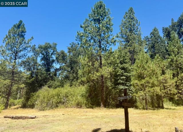 4578 Pretty Good Rd, Placerville CA: https://media.crmls.org/mediaz/b89548ac-95c3-4ac7-8fb9-ee004f560d81.jpg