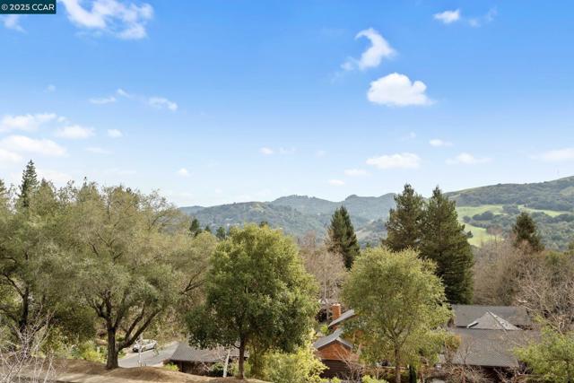 316 Village View Ct, Orinda CA: https://media.crmls.org/mediaz/b895b03e-e493-43be-a01f-21c5dceb140a.jpg