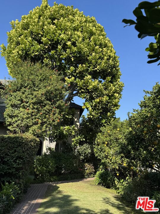 7917 Norton Avenue, West Hollywood CA: https://media.crmls.org/mediaz/b89f676d-6e52-4a61-84ba-ea6074042b50.jpg