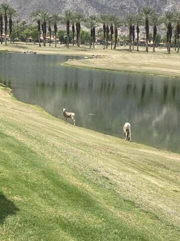 MLS #219113599DA img 20