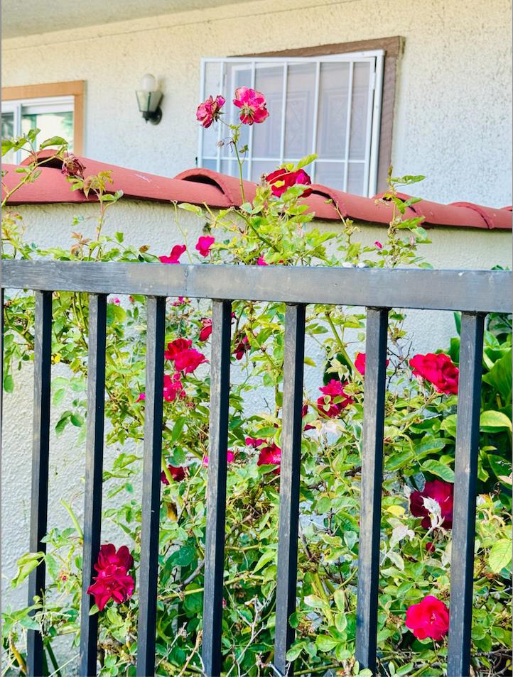 https://media.crmls.org/mediaz/b8ac8786-6c46-4d29-b749-d5adf2e74968.jpg?preset=X-Large