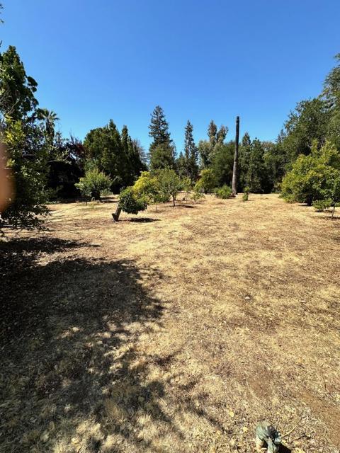 399 Hawthorne Avenue, Los Altos CA: https://media.crmls.org/mediaz/b8af33f5-c754-448e-a055-2d55da4a7497.jpg