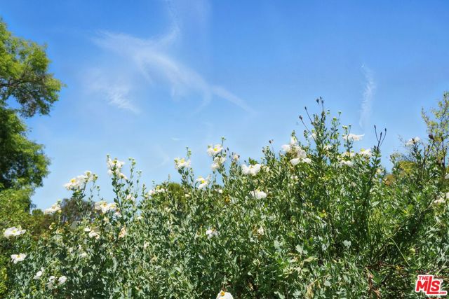 1527 Bainum Drive, Topanga CA: https://media.crmls.org/mediaz/b8ba3a56-7e53-4e8a-b48f-e345c7fc3e40.jpg