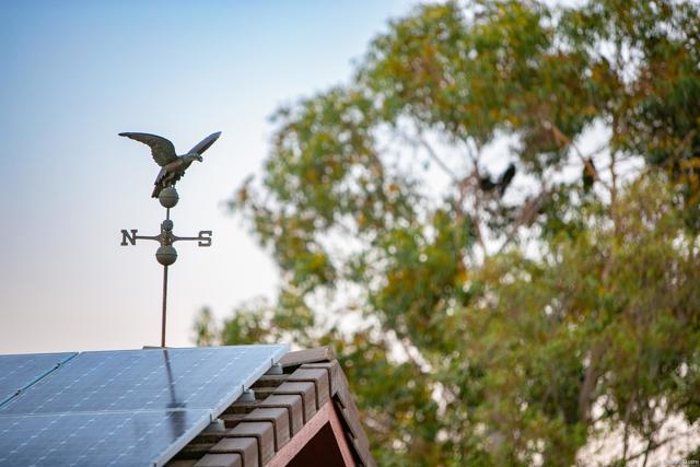 Beautiful Buzzard Vulture Weathervane made specifically for the home and it's feather friends!