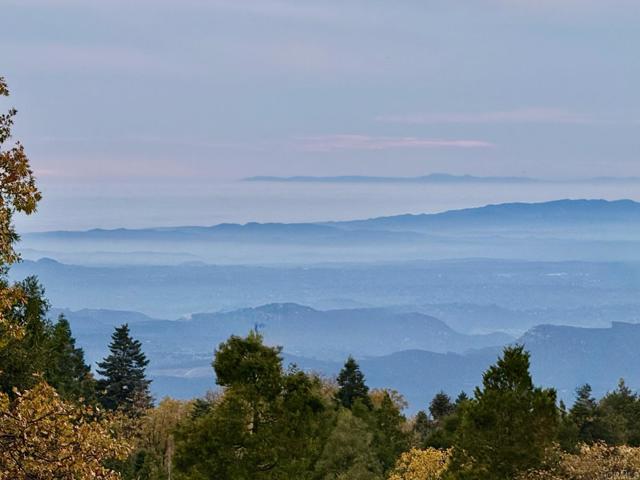 Detail Gallery Image 68 of 75 For 3413 Fern Meadow Rd, Palomar Mountain,  CA 92060 - 3 Beds | 3/1 Baths