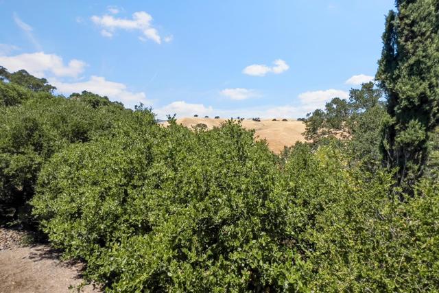 14449 Liddicoat Circle, Los Altos Hills CA: https://media.crmls.org/mediaz/b8c5c53a-3573-4a82-8a3c-779635920b9c.jpg