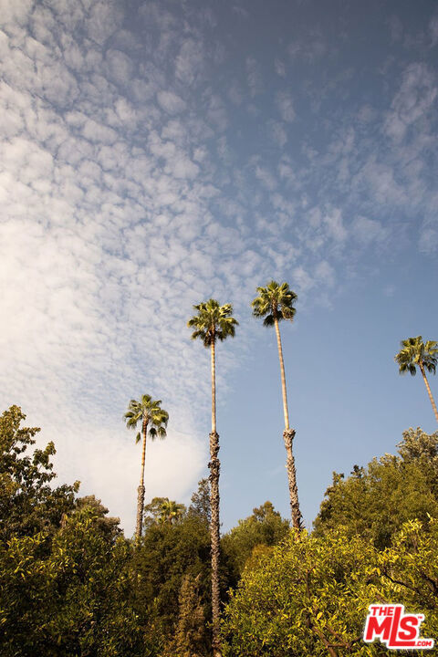 https://media.crmls.org/mediaz/b8d1e840-4730-4a26-8b74-92fe68636f0e.jpg?preset=X-Large