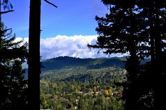 750 El Solyo Heights Drive, Felton CA: https://media.crmls.org/mediaz/b8de6cce-c801-4e1c-835e-8d1de7c675a3.jpg