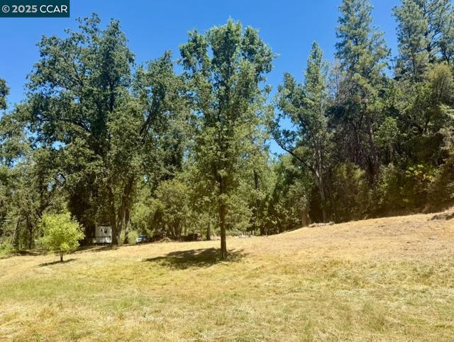 4578 Pretty Good Rd, Placerville CA: https://media.crmls.org/mediaz/b8e4500a-912c-43e9-913f-aa155ceaa9a1.jpg