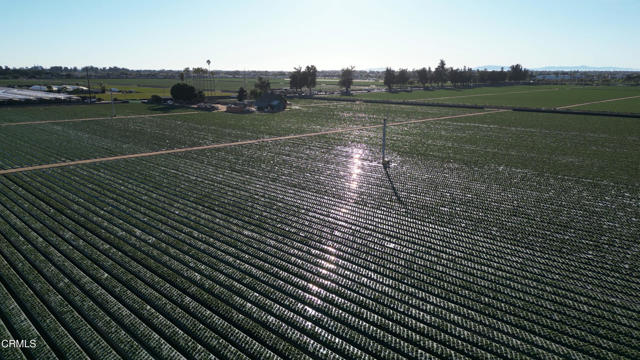 Detail Gallery Image 6 of 10 For 2151 E Wooley Rd, Oxnard,  CA 93030 - – Beds | – Baths