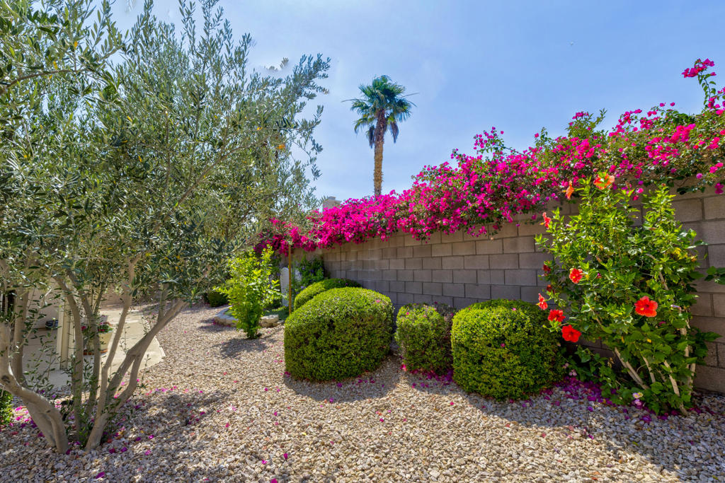 MLS #219132525DA image #29