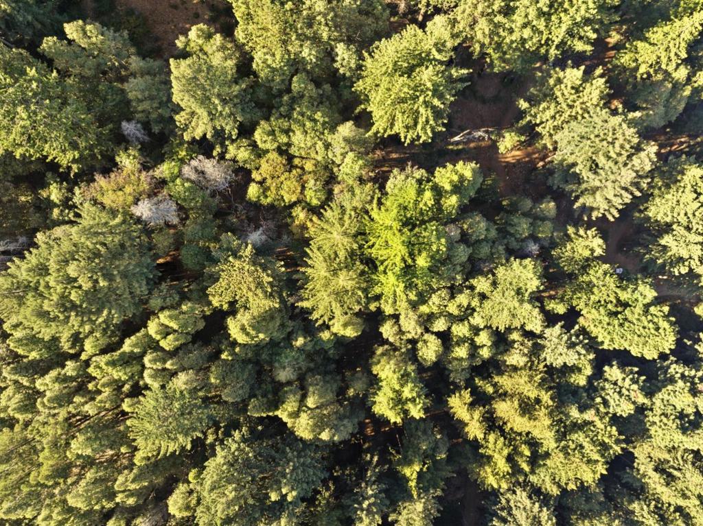 MLS #ML81986063 image #24