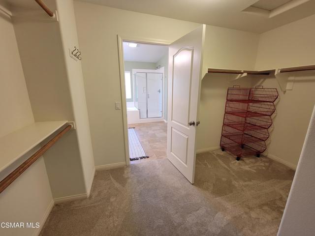 Primary closet