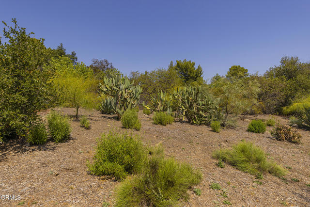 Detail Gallery Image 9 of 13 For 1 Henderson Rd, Ojai,  CA 93023 - – Beds | – Baths