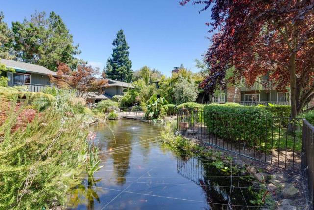 99 E Middlefield Road, Mountain View CA: https://media.crmls.org/mediaz/b90524e8-0399-4255-b886-6e2c47e51957.jpg