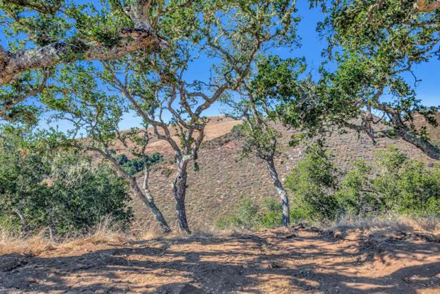 0 Ranch, Lot#3, 500 El Caminito, Carmel Valley CA: https://media.crmls.org/mediaz/b9126863-7f53-4b29-93ef-9463f37ae0d7.jpg