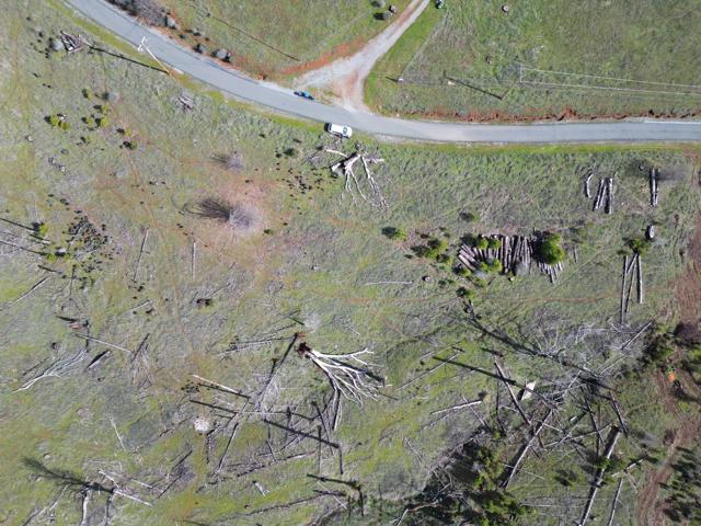 Image 7 of 24 For 5135 Old Emigrant Trail West