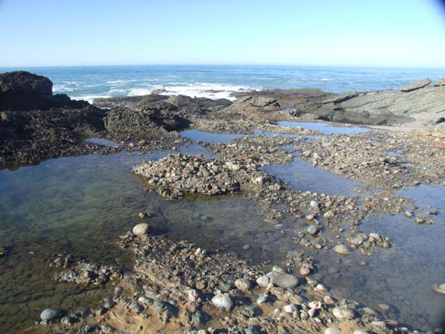 10247 Cabrillo Highway, Pescadero CA: https://media.crmls.org/mediaz/b933c9b3-2aaf-4774-aff9-9fa6a2fe5d67.jpg