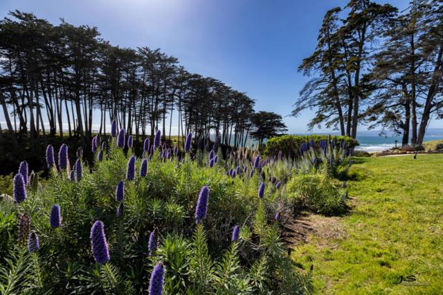 307 Seascape Resort Drive, Aptos CA: https://media.crmls.org/mediaz/b93deeb7-c2b7-44ae-b5b0-e8971d019888.jpg