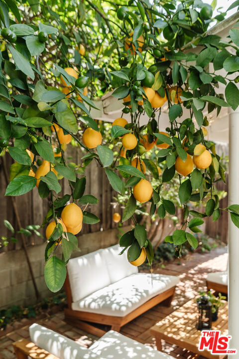 https://media.crmls.org/mediaz/b94aa5d2-6c16-47e8-b1c1-78635a52b72a.jpg?preset=X-Large