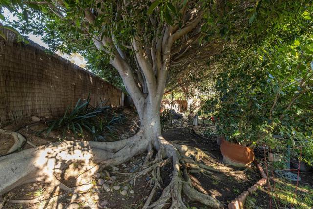 Detail Gallery Image 60 of 68 For 7212 Canyon Hill Way, San Diego,  CA 92126 - 4 Beds | 3 Baths