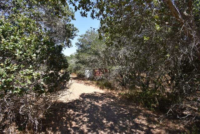 0 Alexander Lane, San Juan Bautista CA: https://media.crmls.org/mediaz/b953c054-f5a1-49e9-9003-1b24705f8838.jpg