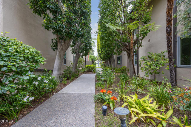 380 S Orange Grove Boulevard, Pasadena CA: https://media.crmls.org/mediaz/b955b088-0d8b-495d-9fc4-b6e1486dc4ad.jpg