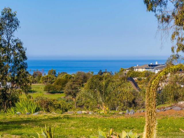 623 Quail Gardens Lane, Encinitas CA: https://media.crmls.org/mediaz/b95eea41-d0dd-4580-942e-7e8645c43738.jpg