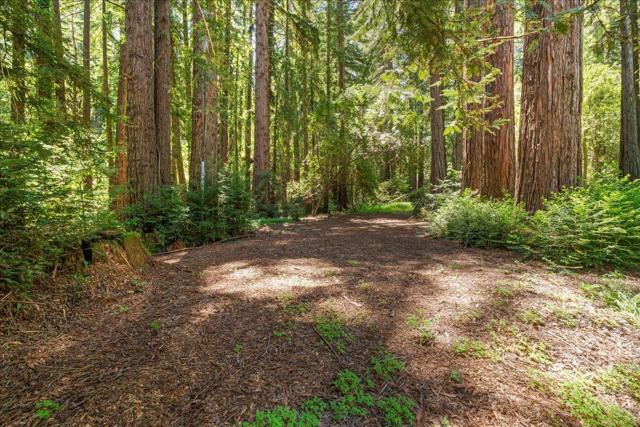 0 Grove Street, Los Gatos CA: https://media.crmls.org/mediaz/b961c2b7-4023-49ea-8bd4-615672d4a8d0.jpg