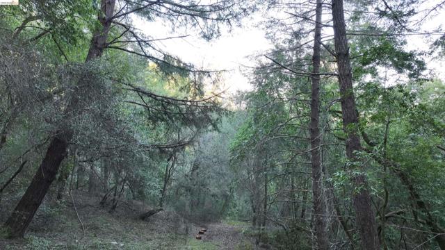 5051 Harrison Grade Rd, Sebastopol CA: https://media.crmls.org/mediaz/b969630d-ef4a-4055-a156-499ad733d060.jpg