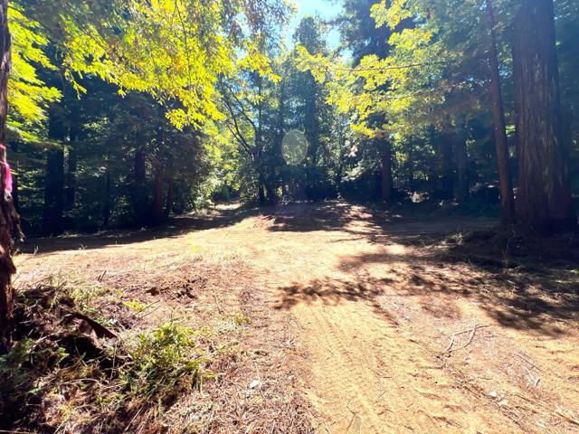 0 E Hilton, Boulder Creek CA: https://media.crmls.org/mediaz/b96a2012-7fe6-4e03-8e6a-f5f663713f5d.jpg