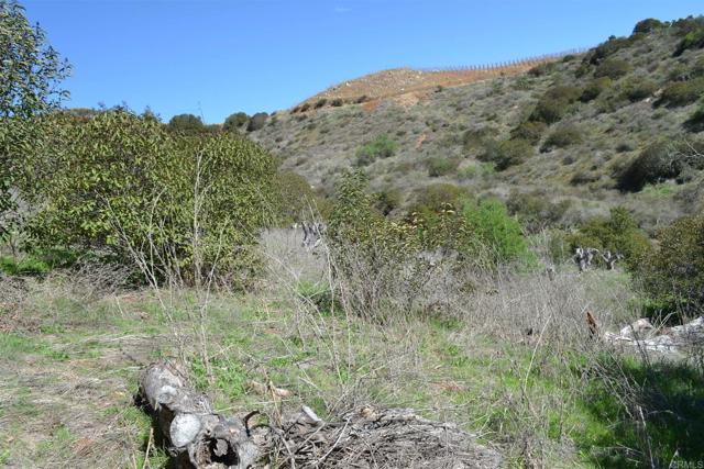 2593 Daisy, Fallbrook, California 92028, ,Residential Land,For Sale,Daisy,NDP2307998