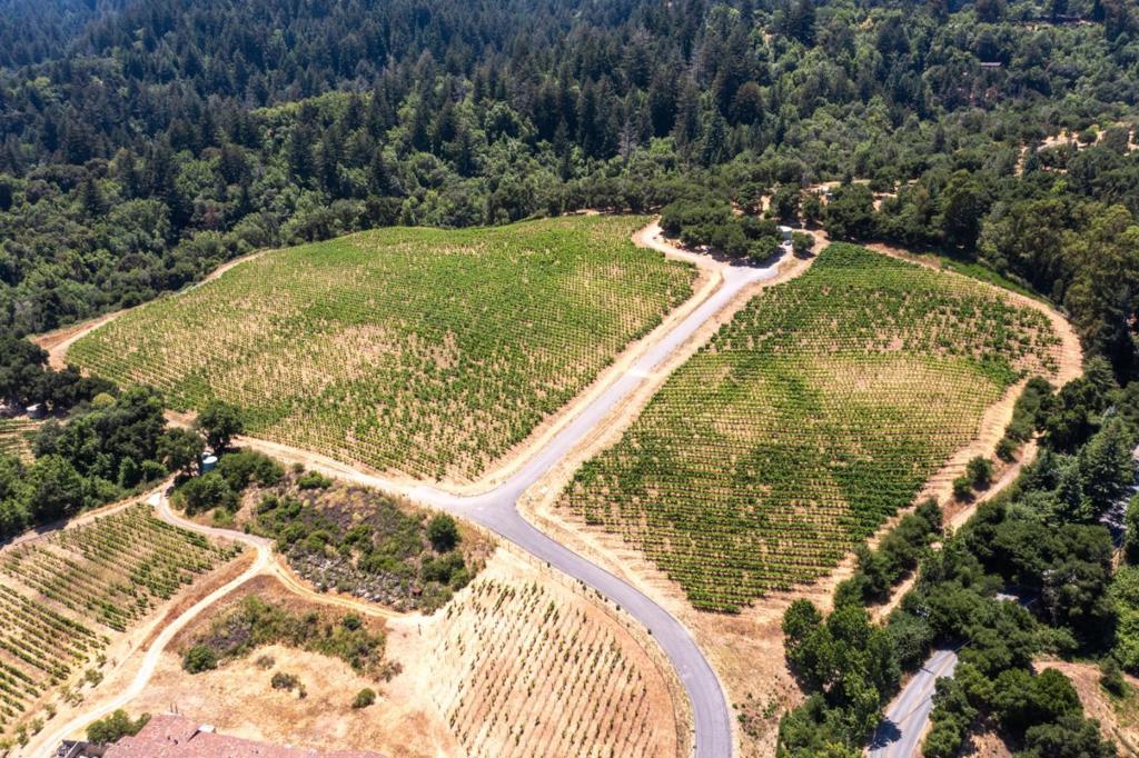 MLS #ML82023193 image #6