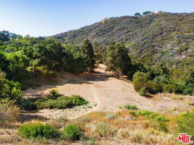 20717 Rockcroft Drive photo 7